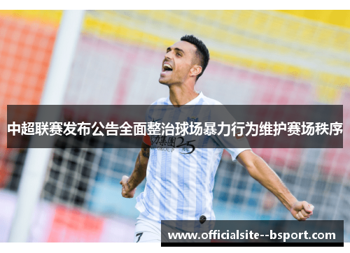 中超联赛发布公告全面整治球场暴力行为维护赛场秩序